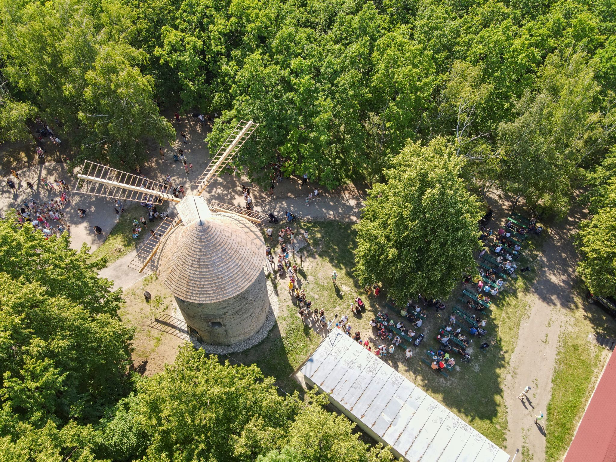 Veterný mlyn, Holíč Autor: Vladimír Miček
