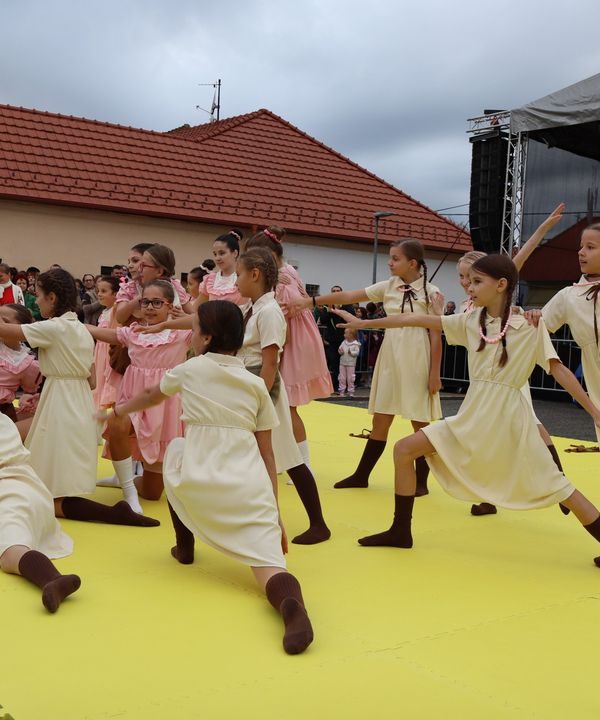 Michalský jarmok, Hlohovec Zdroj: Mesto Hlohovec