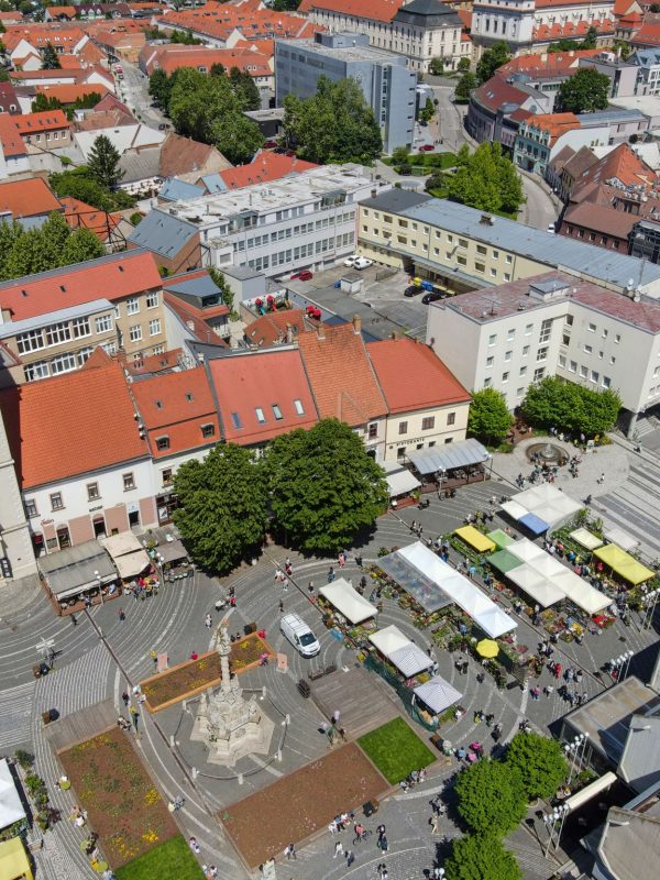 Májový kvet, Trnava