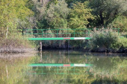 Most Chucka Norrisa, Dolná Streda Autor: Vladimír Miček