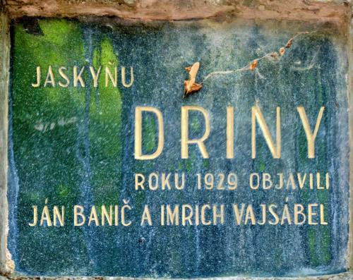 Jaskyňa Driny, Smolenice Autor: Vladimír Miček